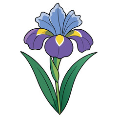 Vector Artwork Purple Iris Flower Illustration: Botanical Art Graphic