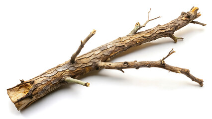 Fototapeta premium Branch Dead Tree Isolated On White Background With Copy Space For Nature Conservation Design