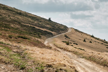 Serpentine Dirt Path through Dry Grass Hillside