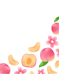 桃 水彩手描きイラスト 上品なフルーツフレーム