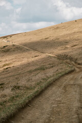 Hiker on a Trail in Svydovets Mountain Range