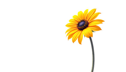 Bright single yellow flower standing out in a minimalist design showcasing its beauty and simplicity against nature