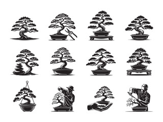Obraz premium Diverse collection features various styled bonsai trees with different presentations on a white background