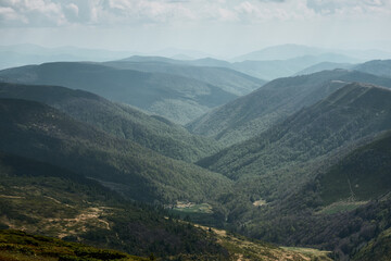 Lush Valley in Svydovets Mountains, Western Ukraine