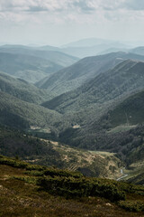 Mountain Valley in Carpathians, Ukraine