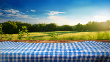  A picnic table with a blue checkered cloth in a sunny field surrounded by trees, under a vibrant blue sky, evoking summer leisure and relaxation.