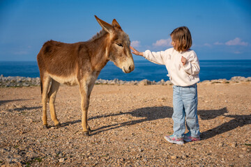 A little girl gently pets a donkey in the National Donkey Park on the northeasternmost cape of Northern Cyprus. Heartwarming connection between children and wildlife in a remote natural setting