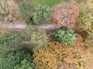 Autumn landscape of Sihlfeld cemetery on Zurich, Switzerland