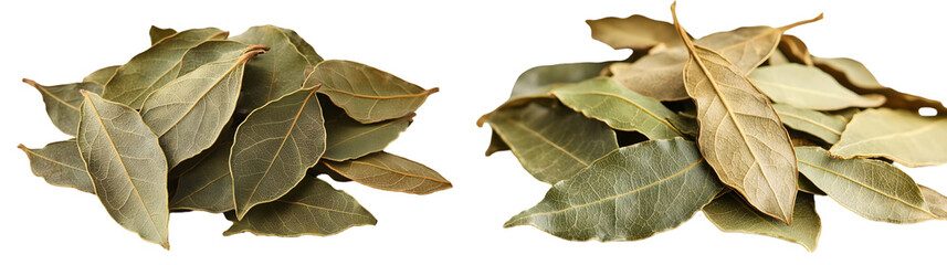 pile of dried bay leaves isolated on a transparent background