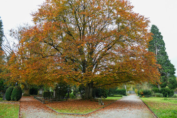 Autumn landscape of river Sihl on Zurich, Switzerland