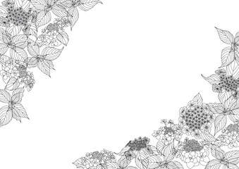 flower-00133