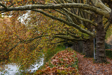 Autumn landscape of river Sihl on Zurich, Switzerland