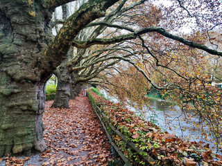 Autumn landscape of river Sihl on Zurich, Switzerland