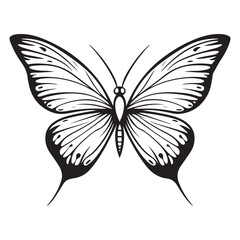 butterfly silhouette set. butterfly vector illustration. butterfly isolated vector on white background.