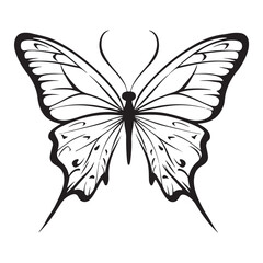 butterfly silhouette set. butterfly vector illustration. butterfly isolated vector on white background.