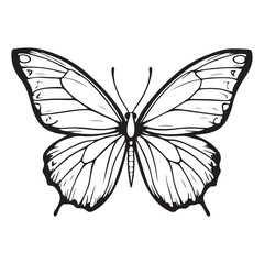 butterfly silhouette set. butterfly vector illustration. butterfly isolated vector on white background.