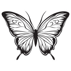 butterfly silhouette set. butterfly vector illustration. butterfly isolated vector on white background.