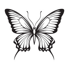 butterfly silhouette set. butterfly vector illustration. butterfly isolated vector on white background.