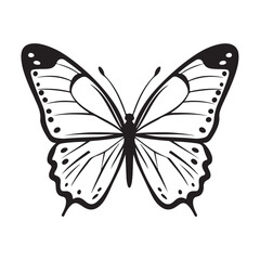 butterfly silhouette set. butterfly vector illustration. butterfly isolated vector on white background.