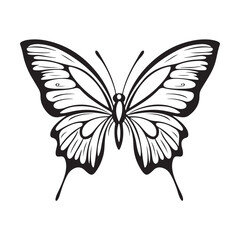 butterfly silhouette set. butterfly vector illustration. butterfly isolated vector on white background.