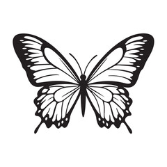 butterfly silhouette set. butterfly vector illustration. butterfly isolated vector on white background.