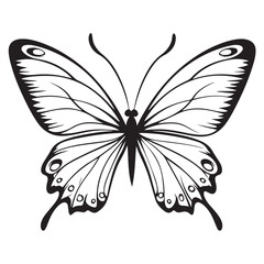 butterfly silhouette set. butterfly vector illustration. butterfly isolated vector on white background.