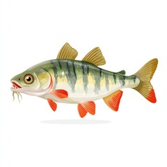 Obraz premium A colorful illustrated fish with sharp teeth and striped fins, isolated on a white background.