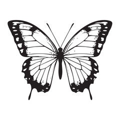 butterfly silhouette set. butterfly vector illustration. butterfly isolated vector on white background.
