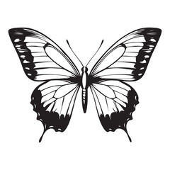 butterfly silhouette set. butterfly vector illustration. butterfly isolated vector on white background.
