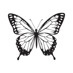 butterfly silhouette set. butterfly vector illustration. butterfly isolated vector on white background.