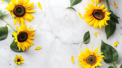 Frame made of beautiful sunflowers on white marble table, flat lay