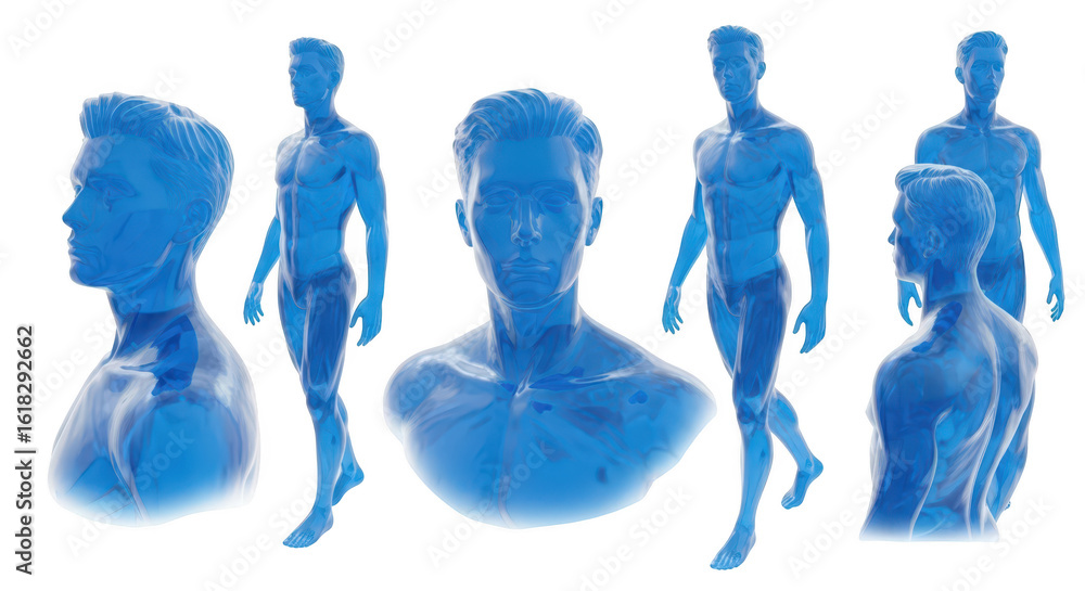 Poster rendered male human body in multiple views showing skeletal and muscular structure in front of a cle