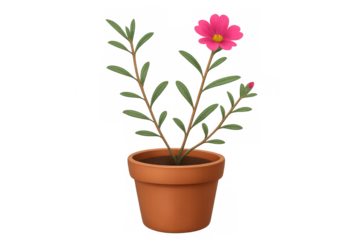 3d rendering of a pink flower blooming in a terracotta pot, isolated on transparent background