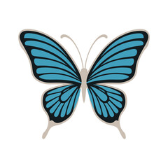 A vibrant blue butterfly with detailed wings and elegant symmetry, evoking natural beauty and transformation design