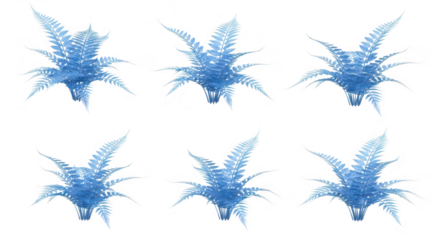 Six blue ferns isolated on white showcase plant details with variations ideal for botanical illustrations or design elements