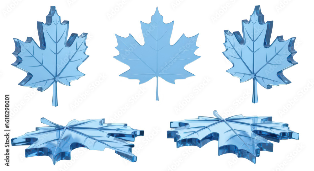 Poster transparent light-blue maple leaves in multiple views against a white backdrop suitable for design b
