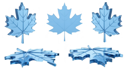 Transparent light-blue maple leaves in multiple views against a white backdrop suitable for design branding or showcasing Canada