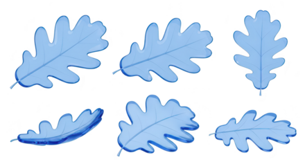 Blue oak leaves floating isolated on white background for design illustrating autumn and nature in an aesthetic artistic digital illustration