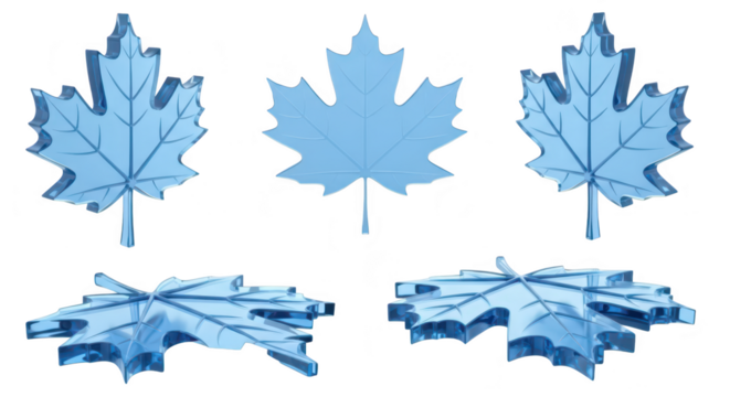Transparent light-blue maple leaves in multiple views against a white backdrop suitable for design branding or showcasing Canada