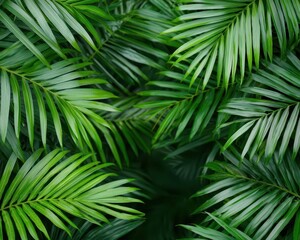 Obraz premium A lush rainforest teeming with diverse wildlife, symbolizing the importance of biological conservation