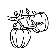 pepper growing black line icon for digital and print projects. Arctic animals.