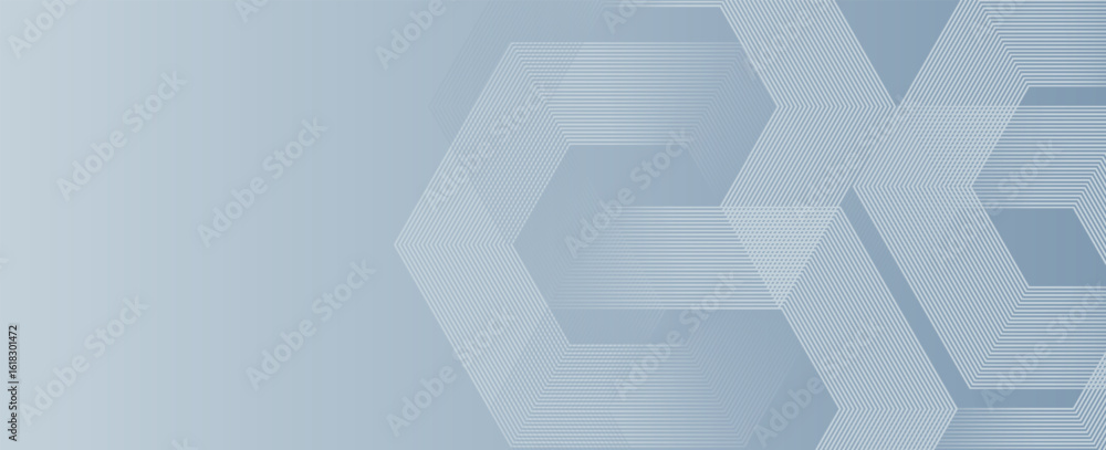 Poster abstract hexagon lines on gray background. geometric stripe line art design modern. vector