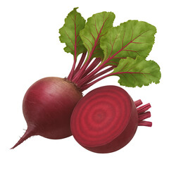 Beetroot, white isolate background