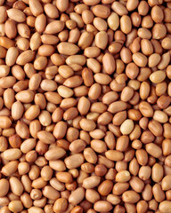 A close-up of a pile of assorted nuts creating a healthy, brown textured background