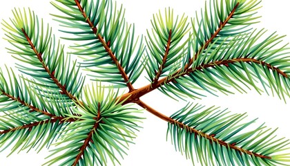 a close-up shot of a branch with green needles, showcasing its intricate details 