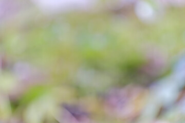 春の陽だまりを感じる抽象的なボケ背景