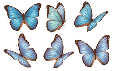 set of butterflies