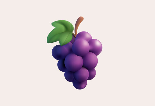 3d realistic purple grape vector editable