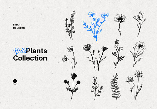 Wild Plants Graphic