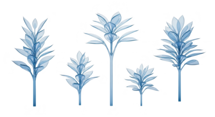 Blue transparent glass botanical sculptures stand against a clean gradient backdrop Used for abstract art design and visual projects